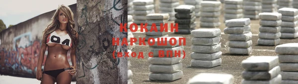 хмурый Пестово