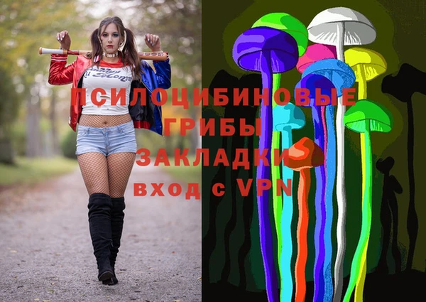 ешки Пересвет