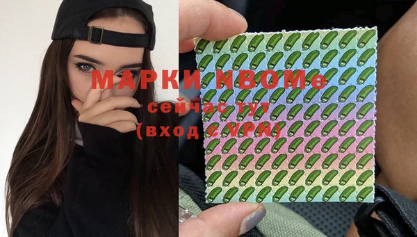 ешки Пересвет