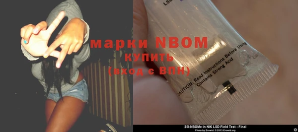 хмурый Пестово