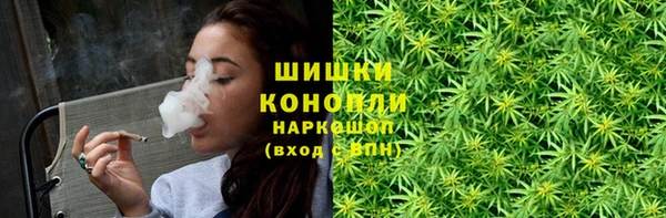 хмурый Пестово