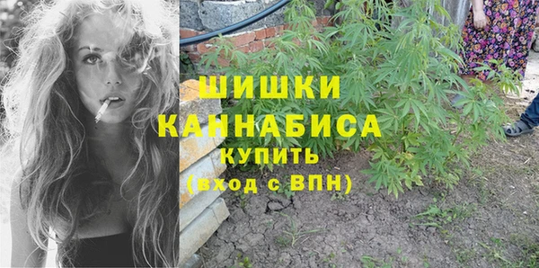 хмурый Пестово