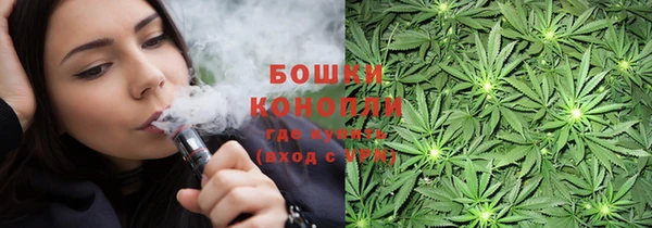 ешки Пересвет