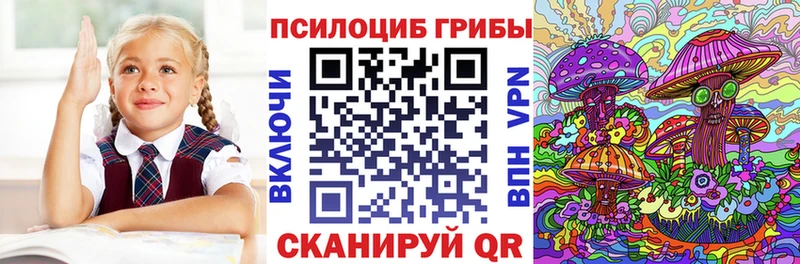 OMG tor  Болхов  Псилоцибиновые грибы MAGIC MUSHROOMS 